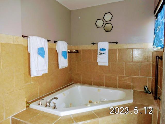Urban Oasis Villa เซนต์ลูอิส ภายนอก รูปภาพ